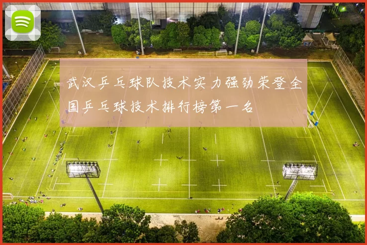 武汉乒乓球队技术实力强劲荣登全国乒乓球技术排行榜第一名