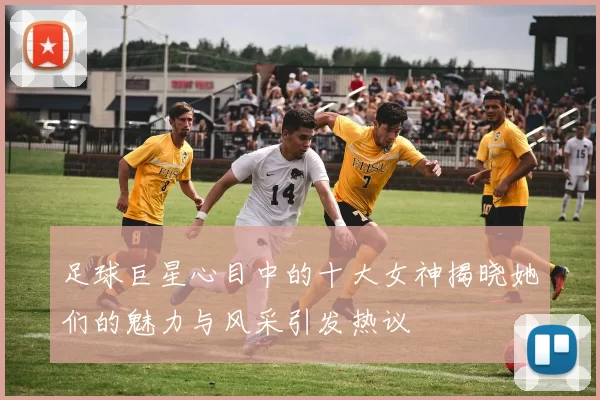 足球巨星心目中的十大女神揭晓她们的魅力与风采引发热议