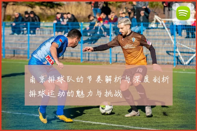 南京排球队的节奏解析与深度剖析排球运动的魅力与挑战