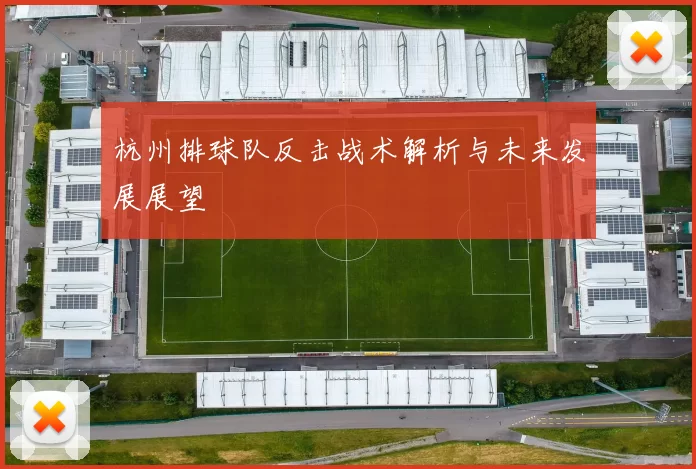 杭州排球队反击战术解析与未来发展展望