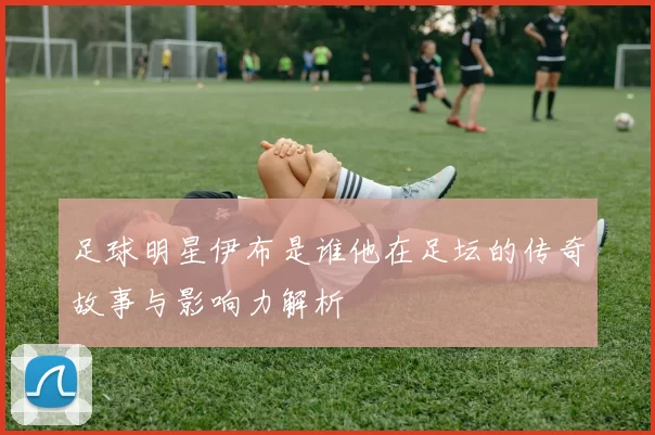 足球明星伊布是谁他在足坛的传奇故事与影响力解析