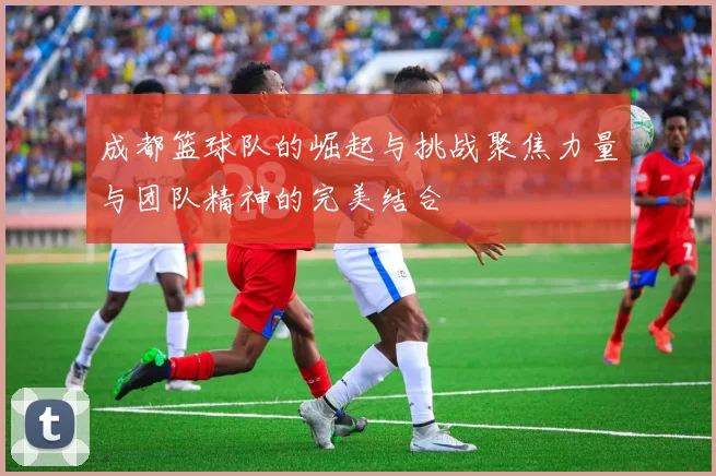 成都篮球队的崛起与挑战聚焦力量与团队精神的完美结合
