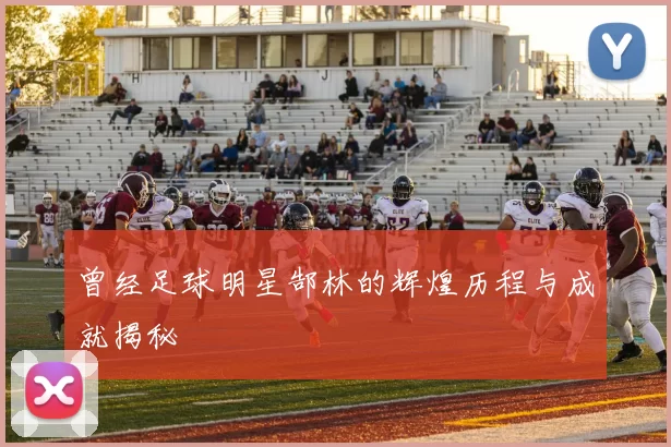 曾经足球明星郜林的辉煌历程与成就揭秘