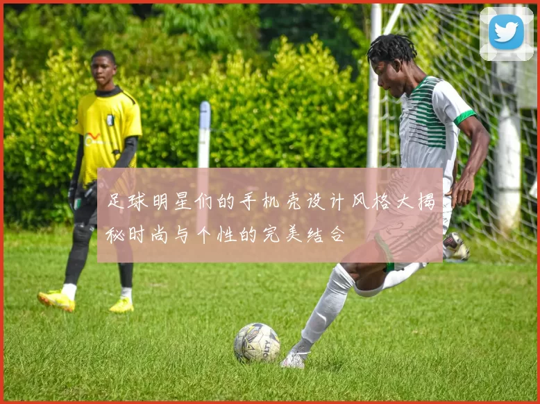 足球明星们的手机壳设计风格大揭秘时尚与个性的完美结合