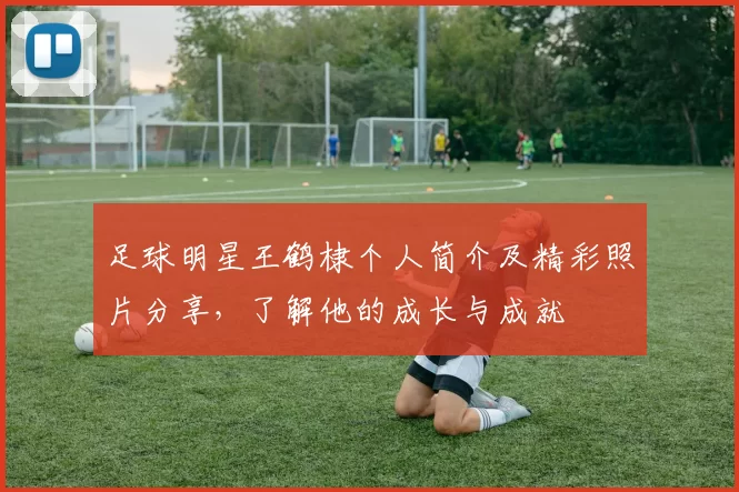 足球明星王鹤棣个人简介及精彩照片分享，了解他的成长与成就