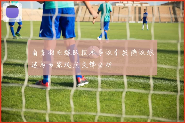 南京羽毛球队技术争议引发热议球迷与专家观点交锋分析