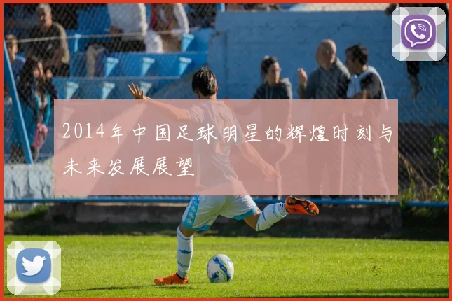 2014年中国足球明星的辉煌时刻与未来发展展望