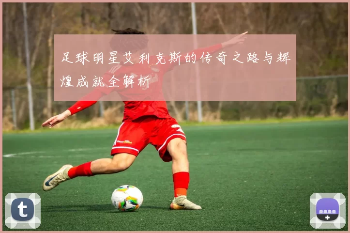 足球明星艾利克斯的传奇之路与辉煌成就全解析
