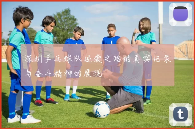 深圳乒乓球队逆袭之路的真实记录与奋斗精神的展现