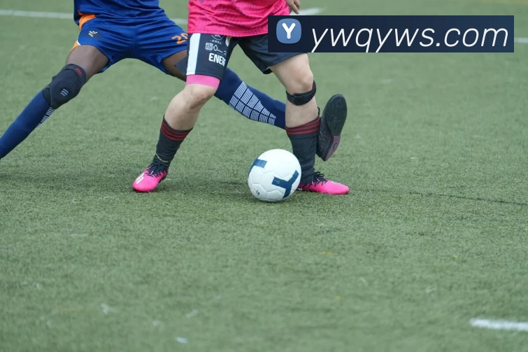 开云官网入口平台生态图